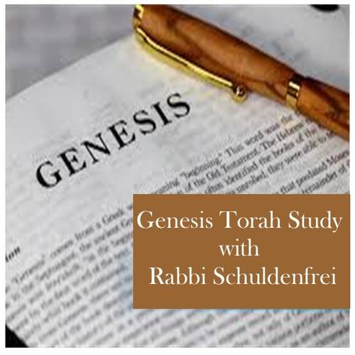 Banner Image for Genesis Torah Study