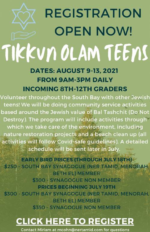 Banner Image for USY: Tikkun Olam Camp for Teens